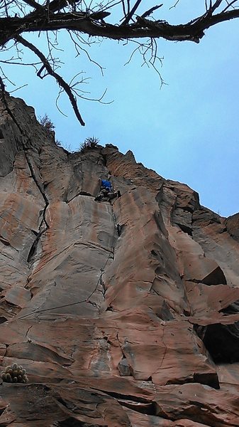 Joel finishing his scrap with one of nature's most ferocious.