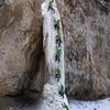 Chris Gibbs on the Crux Pitch.