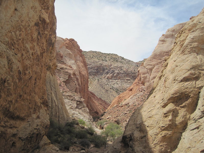 Looking west from midway in the canyon.<br>
Great White Ridge on right.