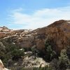 "Forgotten Valley" with the Shady Grove Wall, Joshua Tree NP