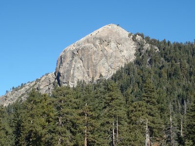 Big baldy trail sequoia top