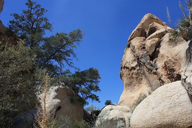 The notch to access the left side of Little Hunk's NE Face and Big Hunk's SW Face, Joshua Tree NP