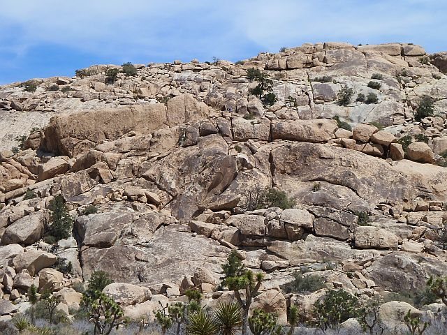 Shorty Crag Area, Joshua Tree NP 