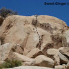 Sweet Ginger (5.11b), Joshua Tree NP