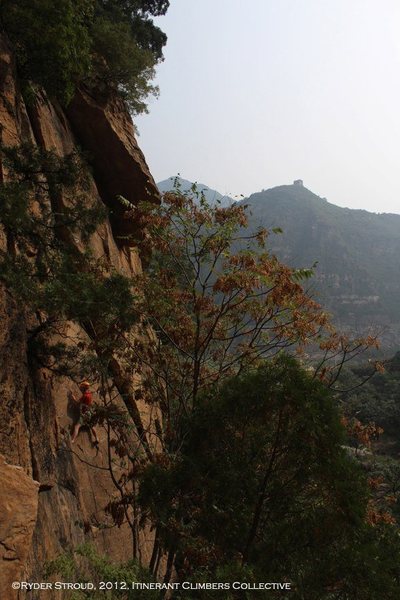 Bee Gorge 4<br>
