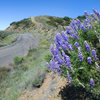 Regardless of the time of year, the drive along East Camino Cielo, out to the crag, is simply stunning.