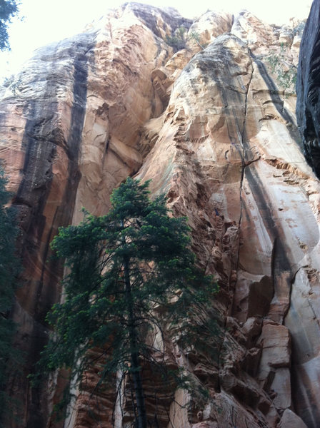 Beautiful crag with beautiful lines.