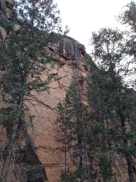 A view of the top of the route.  The 12a section is the darker bulge at the top, and it moves to the left from the top of the 11c.