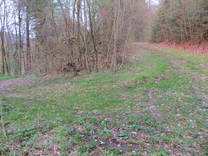 Here's the hairpin in the road that you see from the trail. Follow the road uphill.