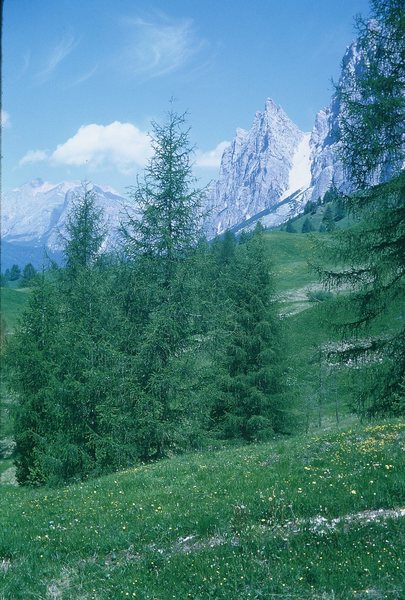 Campanile Dimai and Forcella Pomagagnon (the big scree gully).