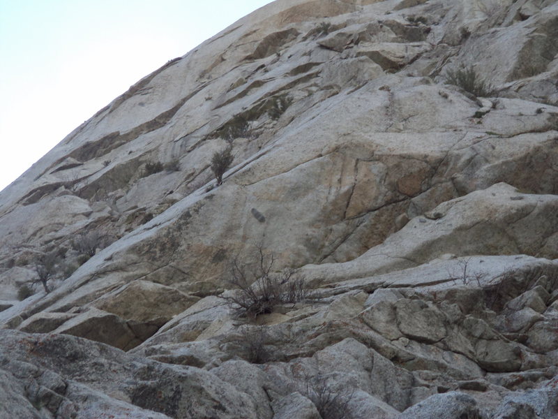 A view from altered states. The obvious slung mahagony marks the center of the route where the thin south facing crack turns to the east facing feetless jug crack. The route ends in the bushes in the upper right. 