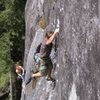 M. Rynkiewicz on Echolocation (11b).