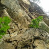 Wolfe Wall lower patina and upper chasm. Many attractive and varied routes in this section of cliff. 