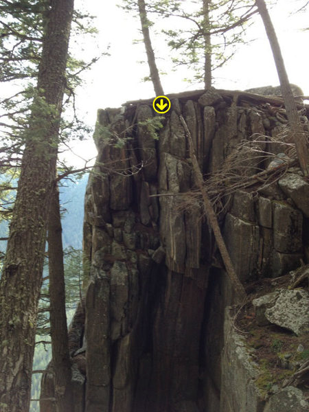 An anchor can be set off of the base of this tree to toprope or clean, easy access hike up to retrieve your anchor.