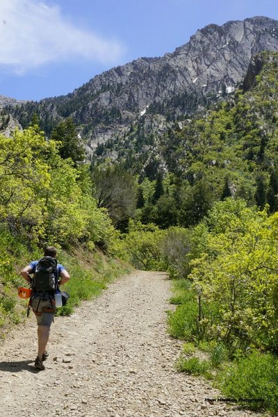 photo: Mooner<br>
<br>
A closer look at the ridge from the beginning of the Neff's Canyon trail.