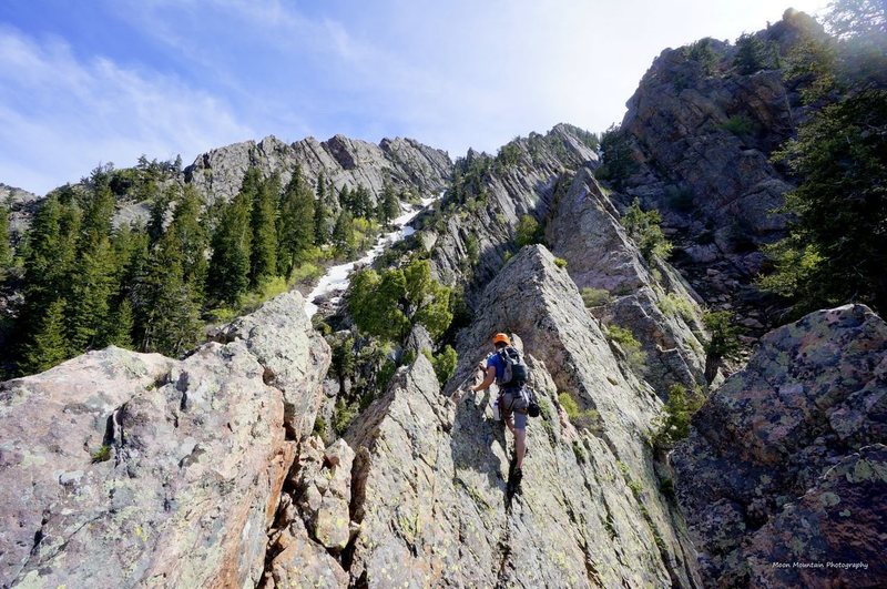 photo: Mooner<br>
<br>
As you can see there are multiple ridges and it's harder than you'd think to tell which one you should be on. Lower down we both felt the one just behind the outermost was the best, and then further up the two ridges join for the really good section.