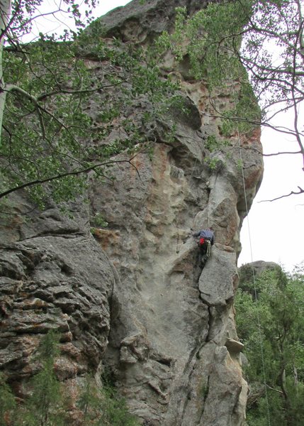Ralph cleaning City Girls, from donini's lead.