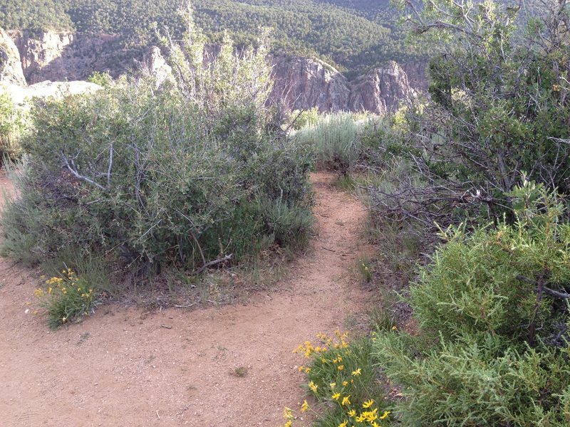 The trail turn just meters before the overlook and just past the boulder.