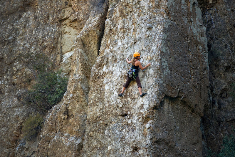 Economique, at Wheeler Gorge. (June 16, 2013)