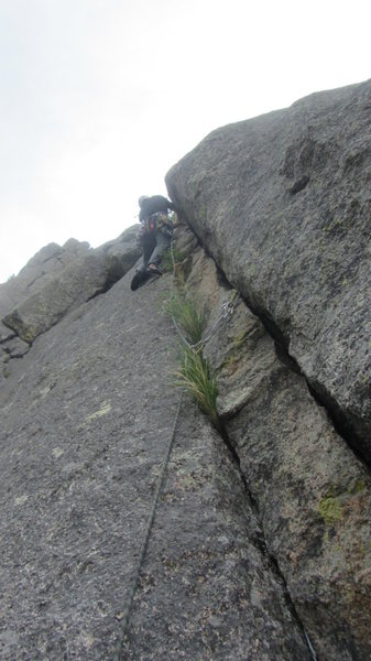 Second pitch.  Follow the bushes then the path of least resistance to a big ledge.