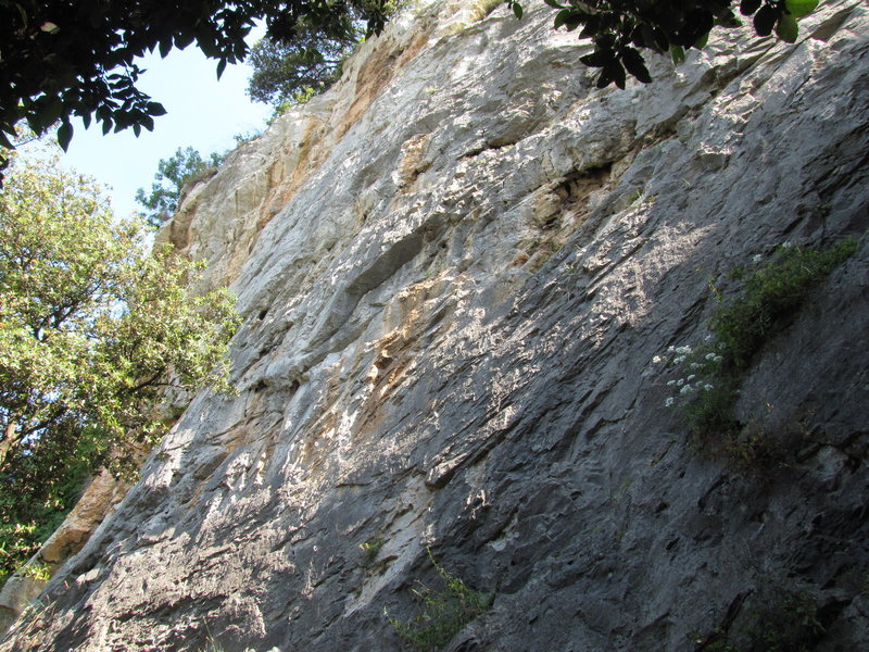 An attempt at photographing the whole crag, but there are some to the right and another hidden one on the left.