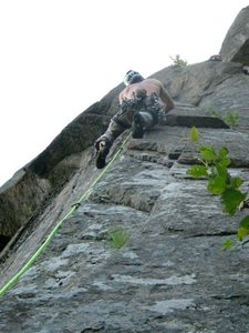 Casual Observer, pitch 2