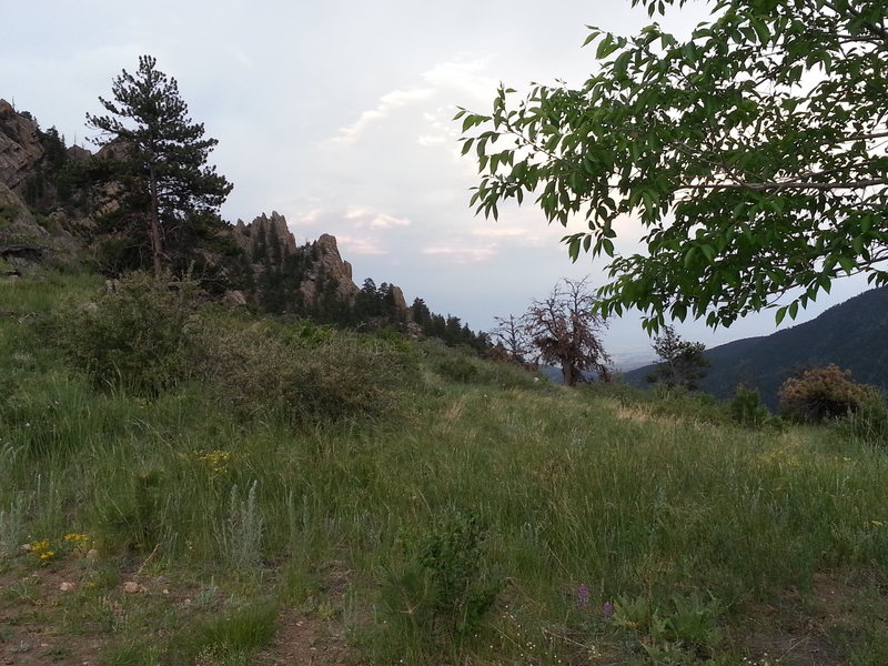 Follow the trail to the right of the sapling into the tall grass where you will find a hidden cairn.