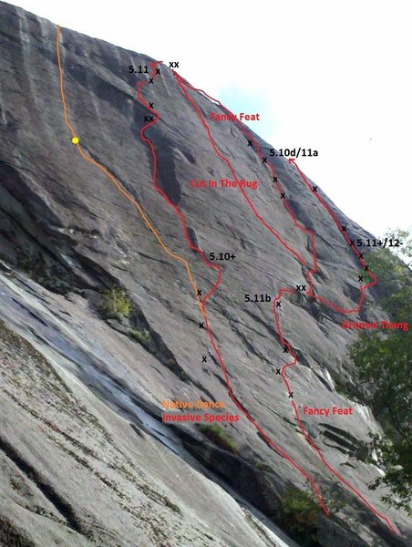 Topo of routes from Native Dance to Groove Thang.  This is an excellent steep wall of face climbing.