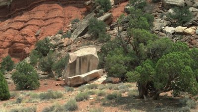 Dune Boulder from the road