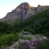 Prindle Main Wall and satellite buttresses as seen from the approach up the NE Fork of American Creek. Fireweed in bloom in the foreground.