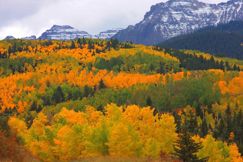 Mt. Sneffels Wilderness.