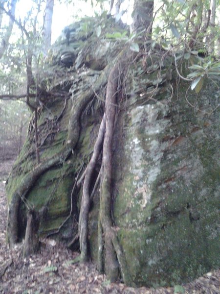 This is the boulder you'll pass, after you started heading left uphill after you crossed the river. A sure sign of the correct direction.