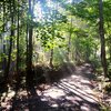 View of the trail / road (Roy Gap Road) to the South Peak area in the morning.  