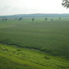 The river basin from the top of Lamentation