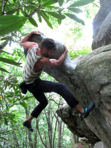 Aaron Parlier on Gods. Thumb boulder, climbing "Plastron Gaston" at the Pavilion Area.