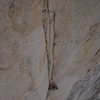 Pitch 3 (11b) - the short crux is at the very beginning.