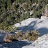 looking back at the final pitch (p5) of the left variation. After the obvious crack you work up and to the climbers right past 15' of face climbing and then pull up over 5' ledge on good holds. Come back to the dead tree in the last 20'