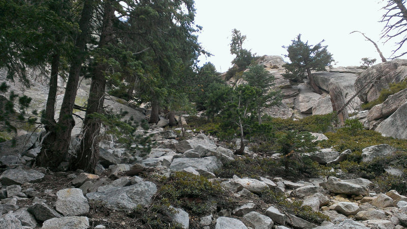 North Gulley Descent