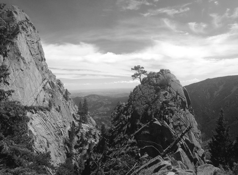 Saddle Tower and Fairview Wall.