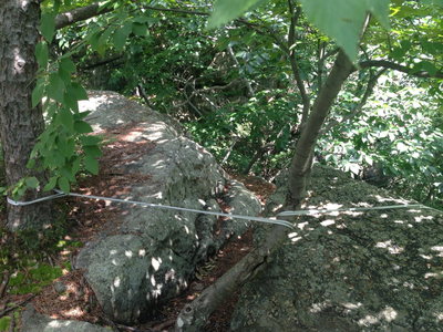 Saw this toprope setup at Peterskill a few weeks ago. Single girth hitched sling around an endangered pine tree, redirected(?) around a tiny branch, running over sharp rock, to a single biner for top roping. The leader missed every single point of a SERENE anchor. People die this way, and have died in similar set ups at the Gunks in recent years...