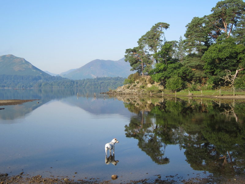 More reflections in Derwentwater Lake near Keswick