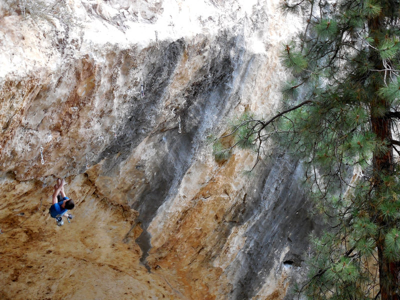 Curtis LaBouff exiting the Roost Cave on America's Most Wanted.