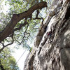 Bryson Fienup (age 6 in this photo) climbs through the Guide's Area, at Bishop Peak.