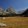 Whaleback as seen from Big Wet Meadow, one of the great vistas of California. Photo by Sara Susca.