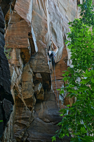 Casey N. moving into No Utopia. You can place a #.3 and a medium wire at this point to protect the bouldery entrance moves.