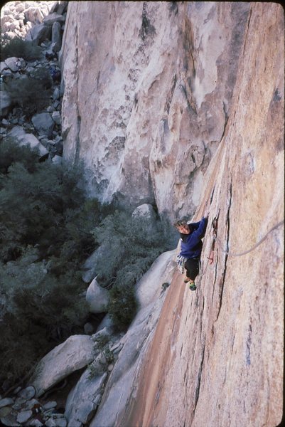 Todd following Figures Winter 1994.