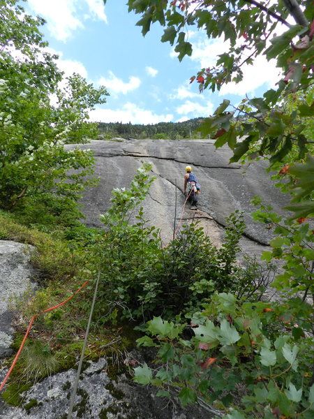 off the tree ledge and into the crack on P2