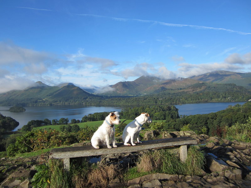 View from Castlehead, near Keswick, English Lake District