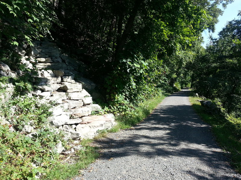 Start of trail up to the Mac wall. Trailwork courtesy of Dick Williams and his Sunday crew - epic work, guys.