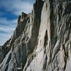 Keeler Needle